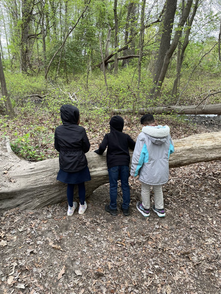 K Students from Monarch Global Academy find homes for their birds while learning about the relationship between birds and trees. 🌳🐦

#aacpsfamily #belonggrowsucceed #TreesAreTerrific #EnvironmentalLiteracy #OutdoorEducation #aacpsaweome #MonarchGlobal #kindergarten #habitat