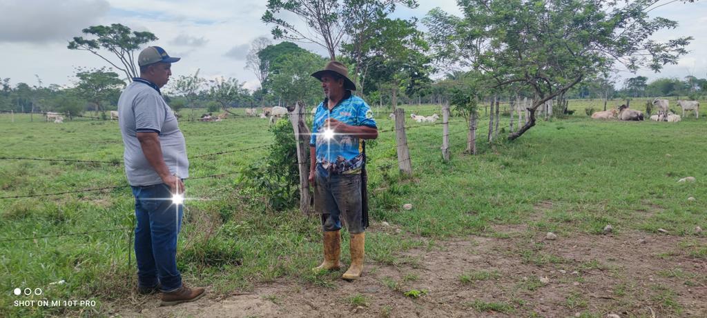 #construyendoganadería nuestros ganaderos negociando muchas veces sus animales al ojo en campo, o al menos se llega a un acuerdo del precio por kg, 'pacto de caballeros'. @Fedegan @jflafaurie @cimitarraganado @cucutapasiongan @FCerete @FedeganSoata @LocalSahagun @FacatativaPl