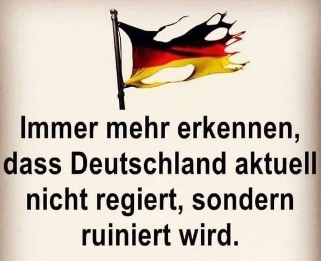 Die #Ampelregierung regiert Deutschland nicht, sondern ruiniert unser Land! Wer teilt diese Ansicht? 🇩🇪 #AfD #Maischberger #Lanz #Presseclub
