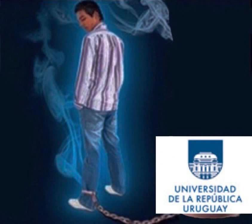 Que gracia tiene el feriado si tengo que estar encerrada estudiando??!?