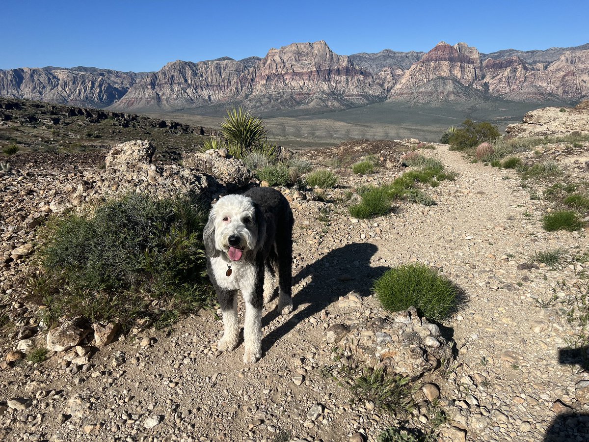 Teton wishes everyone a Happy Earth Day!🌎