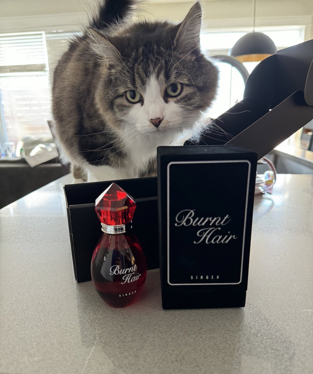 My burnt hair cologne finally came in smells like hot ass