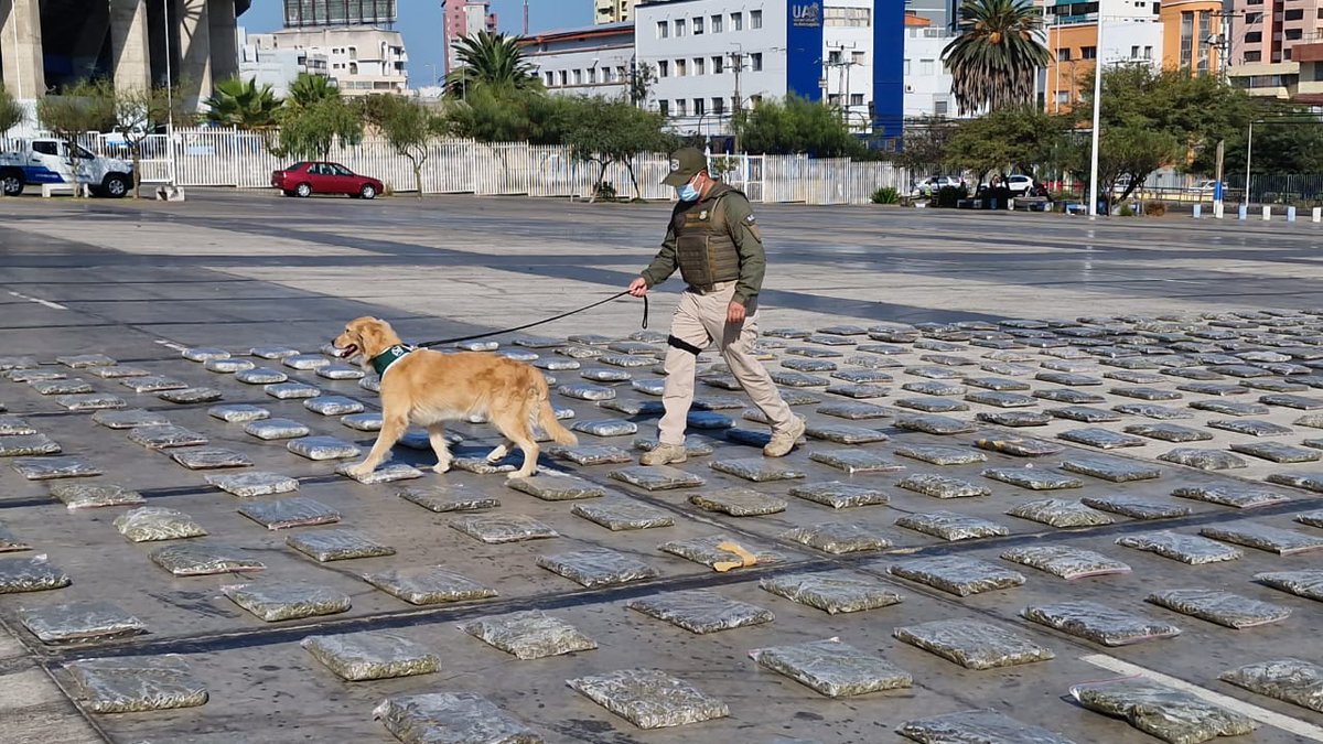 FRANTOFAGASTA tweet picture