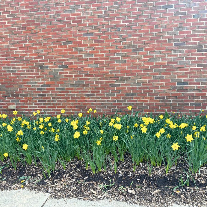 KSC Mason Library tweet media