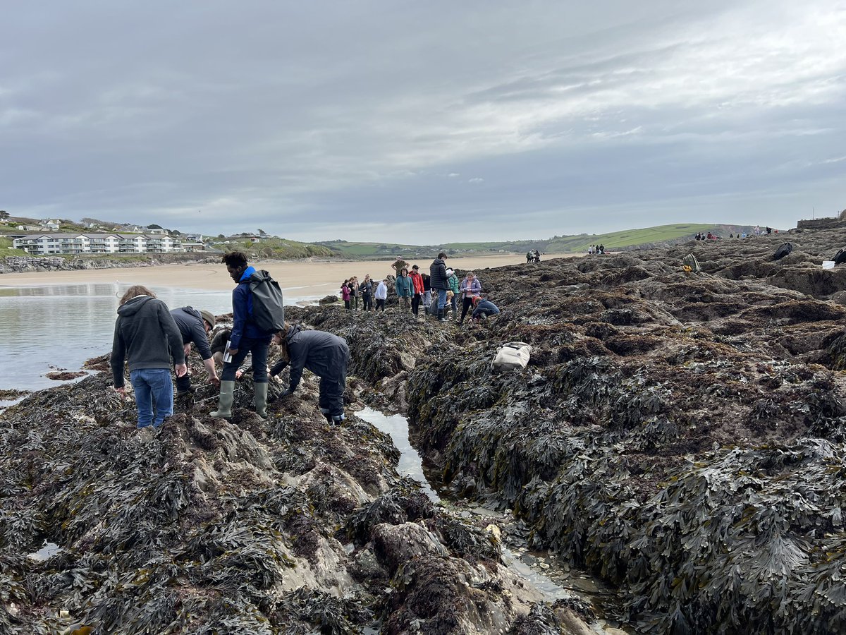 Nicola Foster tweet media