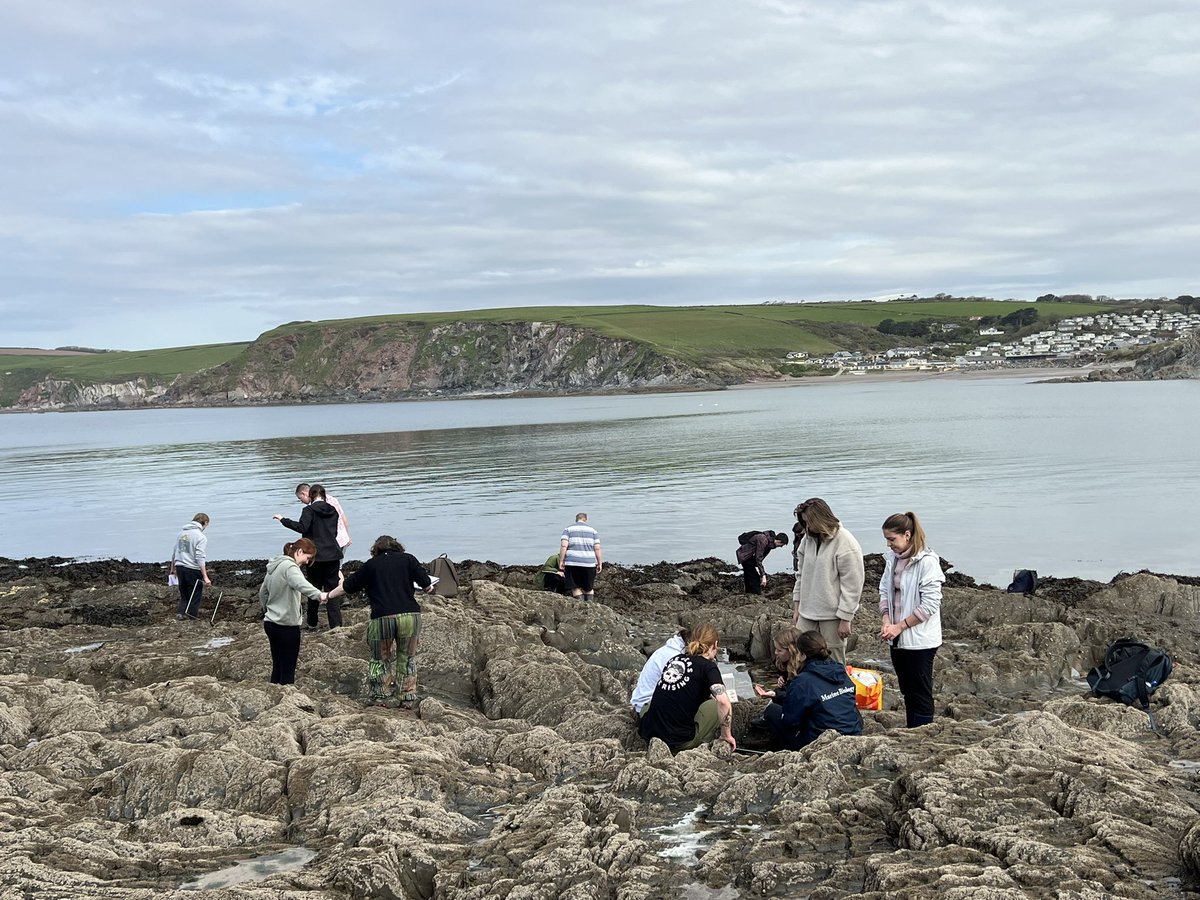 Nicola Foster tweet media