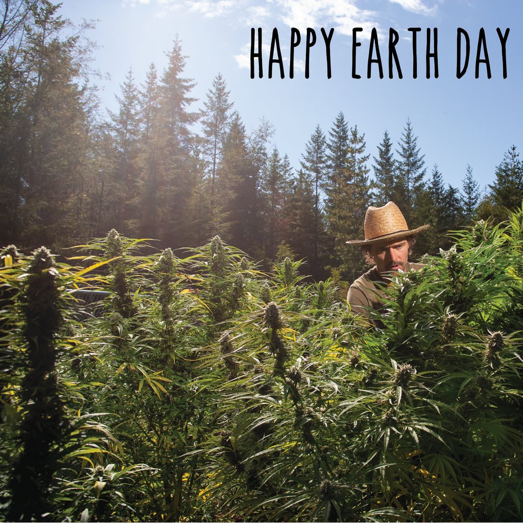 Happy Earth Day!  We care very much about the environment.  Sun grown in living soil organic, using wildflowers and beneficial insects 🐝 🦋🐞
#carbonfootprint #savetheplanet #sustainability #consciousconsumer #reduce #circulareconomy #ecofriendly #sustainable #environment