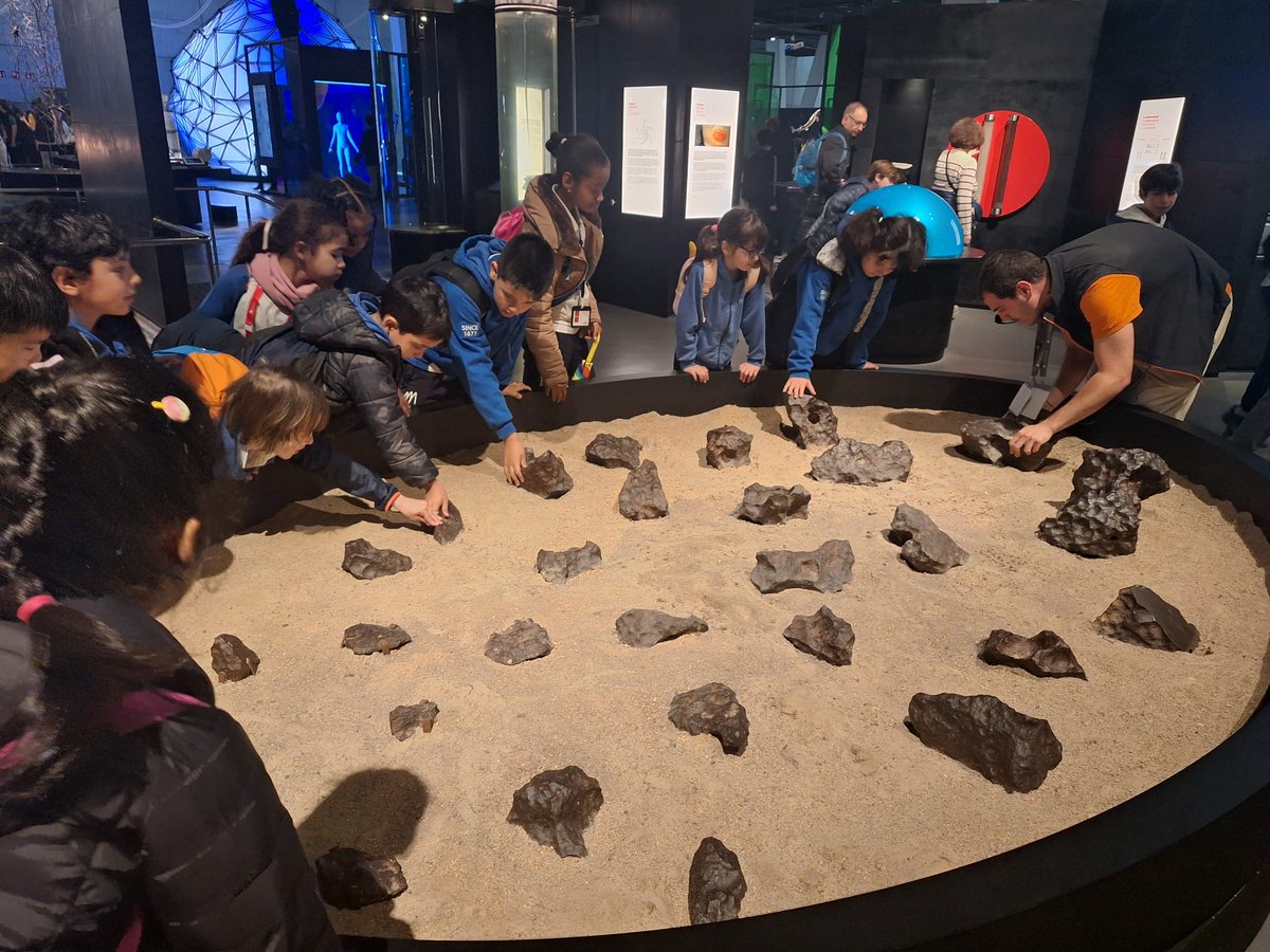 MDPBailen's tweet photo. La classe dels 🐬, de 2n de primària, ha anat avui a descobrir el #planetaribombolla del @cosmocaixa 
Han après un munt de coses sobre el nostre sistema solar i el planeta Terra 🌍 i, a més, han pogut visitar l'exposició permanent del museu. Una passada! 🦖🧊💡🔬🦠🐟

#mdpbailen https://t.co/JG2OLJ7XyT