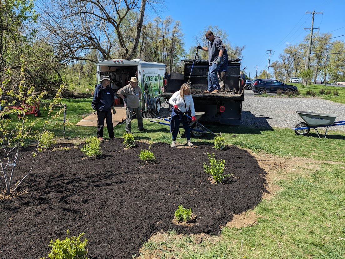 Today, we collaborated with @psuextension & Delco Conservation District for a workshop/planting. Many thanks to the Master Watershed Stewards & Master Gardener volunteers who planted 150 live stakes of red-osier dogwood along the streambank & 15 native bushes at the trailhead.