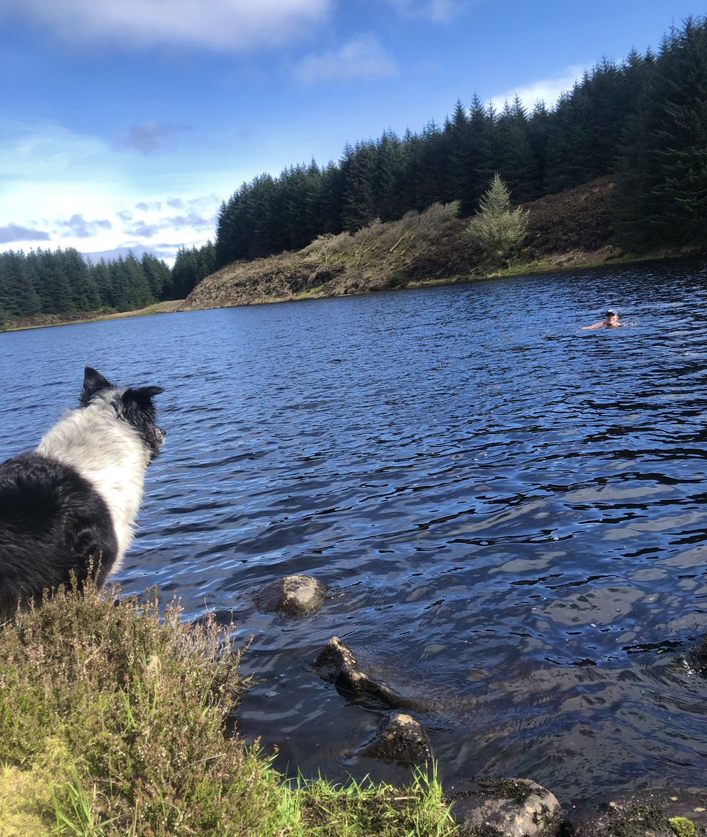 This is how we celebrated #WorldEarthDay2024 - a dip in Loch Garbad 🌍 #zakthecolliedog & Co