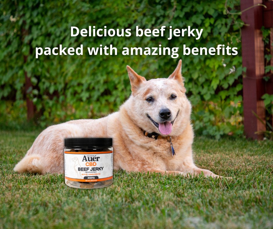 Our specially crafted beef jerky for dogs is the ultimate treat for promoting their overall wellness. 🐾

Made with quality ingredients with no additional additives.

For more information visit auercbd.com

#cbd #vistaca #sandiegocounty