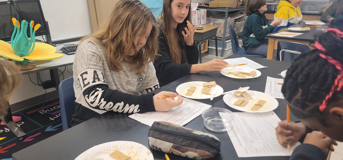 MrsEstepWW's tweet photo. Plate tectonics with graham crackers and frosting always help make learning fun and memorable! @CardwellTeachMe @WIndsorWoodsES https://t.co/4DAKwrXdTQ