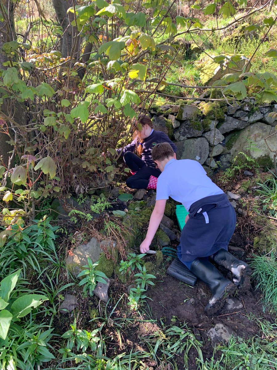 Our KS2 pupils created their own big habitats as part of outdoor learning. Each week they monitor and evaluate it. #outdoors #learning