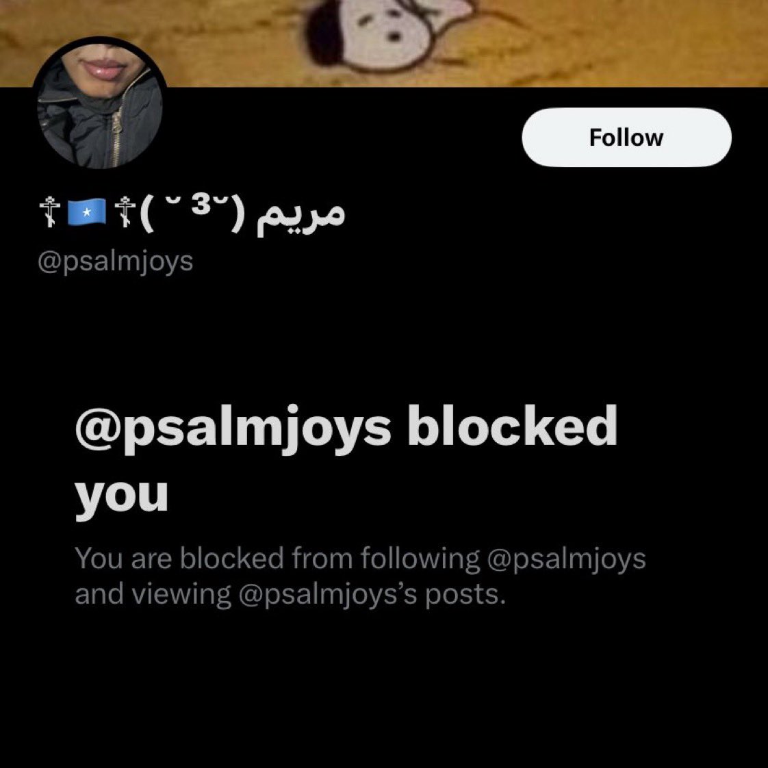EXPOSING THREAD‼️🧵 @psalmjoys is an Ajanib undercover agent that has been working to spread Christianity in the Somali community for awhile! I’ll provide a lot of information in this thread 🧵👇