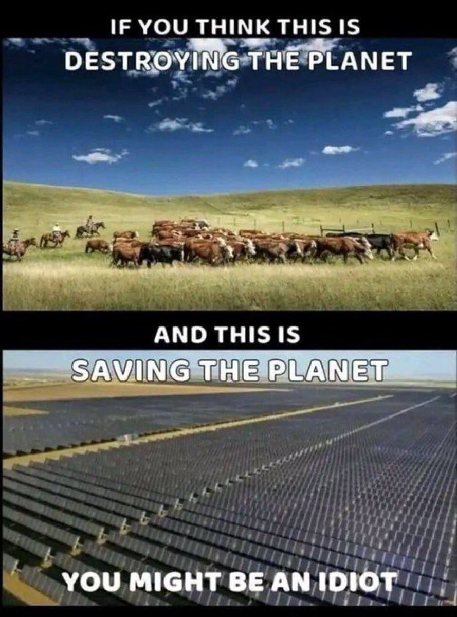 If we control the food supplies we control the people. Climate scam is real, please wake up!!! I would rather have cows than Solar panel destroying our land. @Ilegvm @luluHru @EL4USA @CJSzx12 @rebarbill @salis333 @3Tony48 @ToniLL22 @45Gigi24 @wman132 @locoashes…