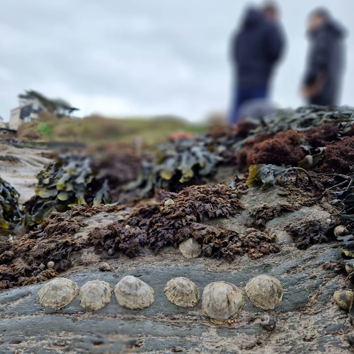 Clare Embling tweet media