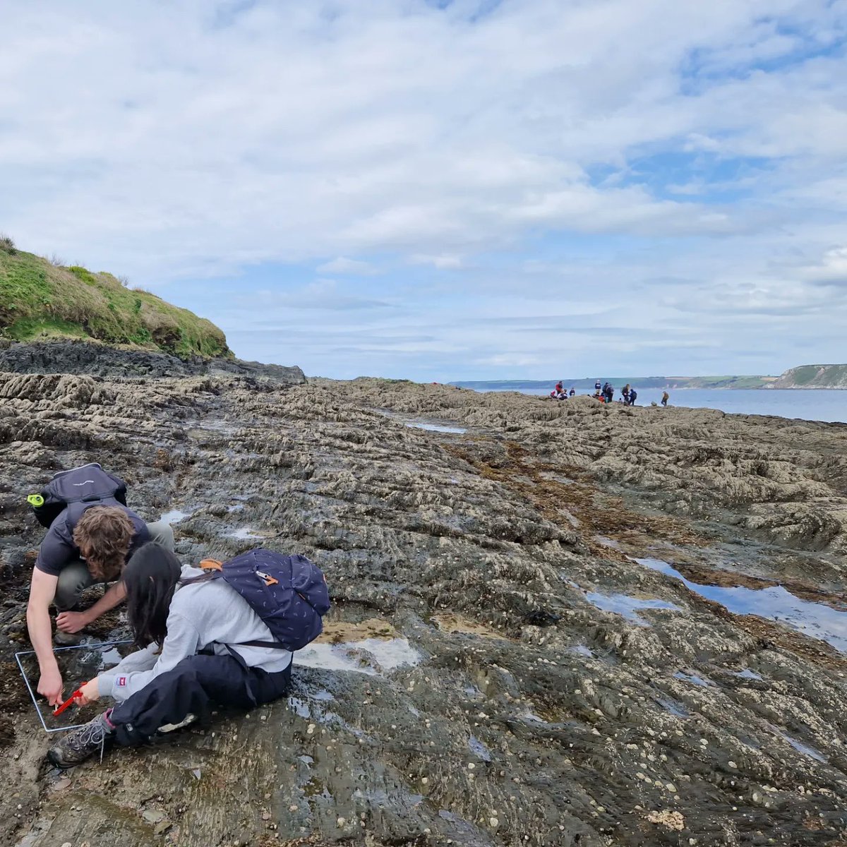 Happy #EarthDay2024 from 1st year @PlymUni #marinebiol students. We spent the day at #Bigbury carrying out mini-projects on the rocky shore - ours was to investigate #limpet morphology with #environmental drivers. #plymbio @PlymUniMI @plymbiolmarsci