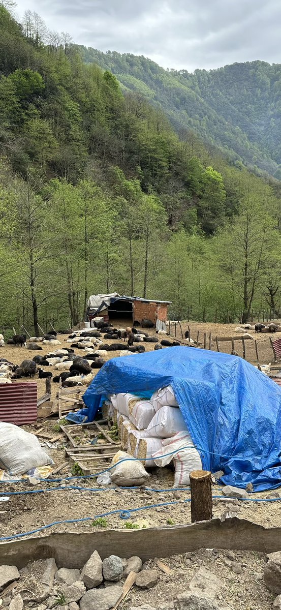 Dünyada bir yer #DünyaGünü