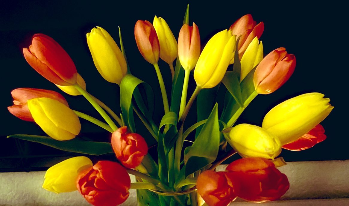 #earthday 

dance in her dirt
revere
worship
respect her

praise
honor
love and protect her

save her

        happy earth day humans 🌱