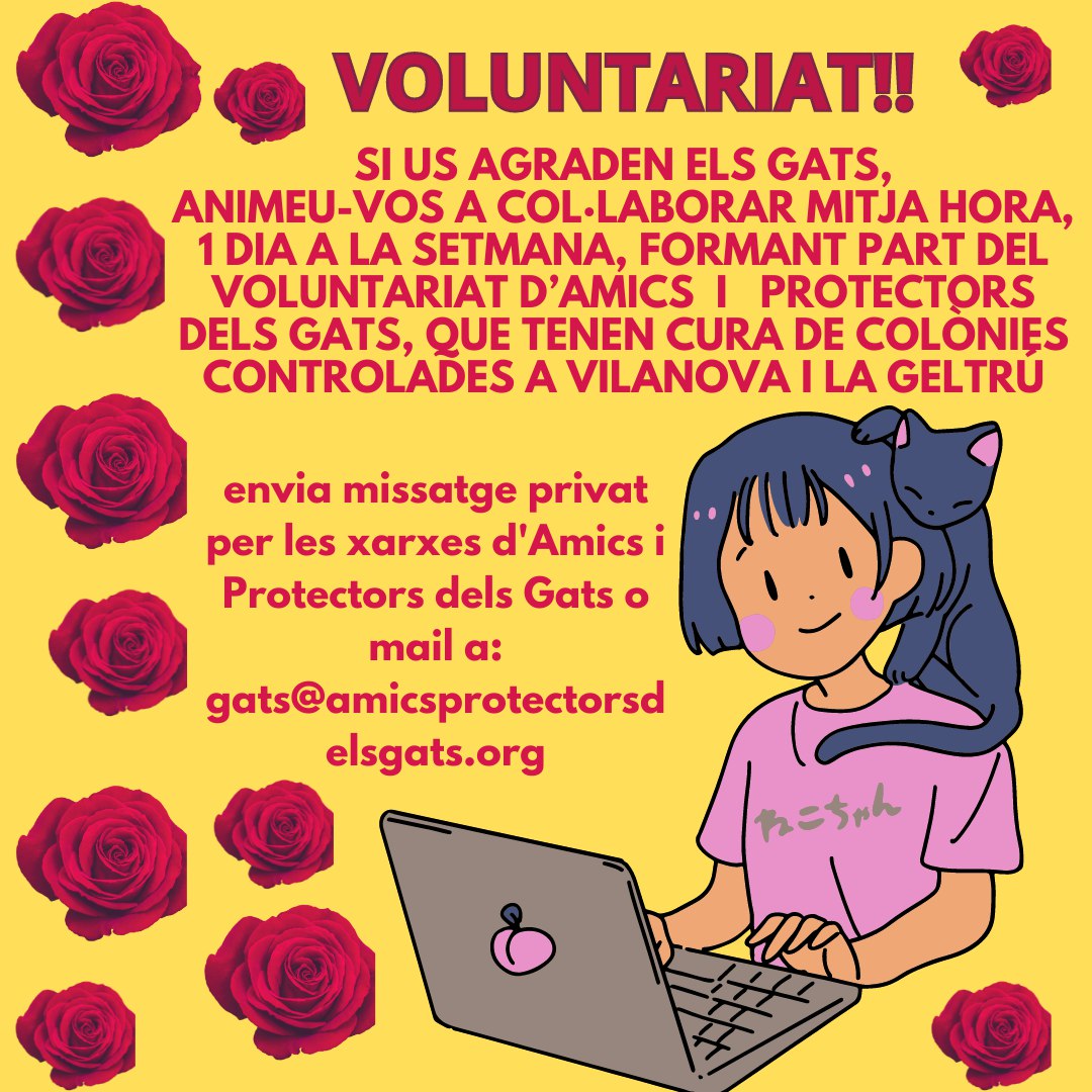 Si t'agraden els gats, anima't a formar part del voluntariat de #amicsiprotectorsdelsgats a #vilanovailageltru #vng #Vilanova Només mitja hora un día a la setmana! Fa 20 anys que controlem diferents colònies de gats al carrer. Ajuda'ns a ajudar-los! Entre tots i totes, fem que la