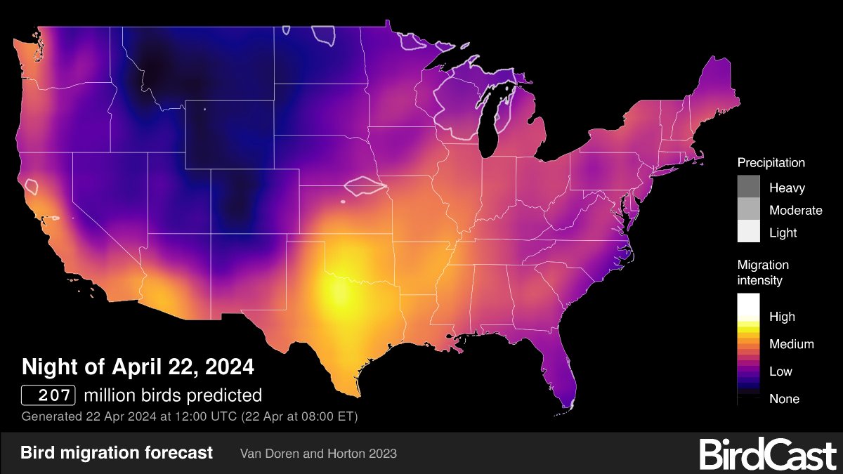 Happy #EarthDay🌎 Among the most amazing gifts we get to observe on our planet is the migration of #MigratoryBirds 🐦 Tonight, we can look forward to another 207 million moving across the continental U.S. #MigrationMonday #WMBD2024 @WMBD 🗺️#BirdCast @CornellLab & @ColoradoStateU