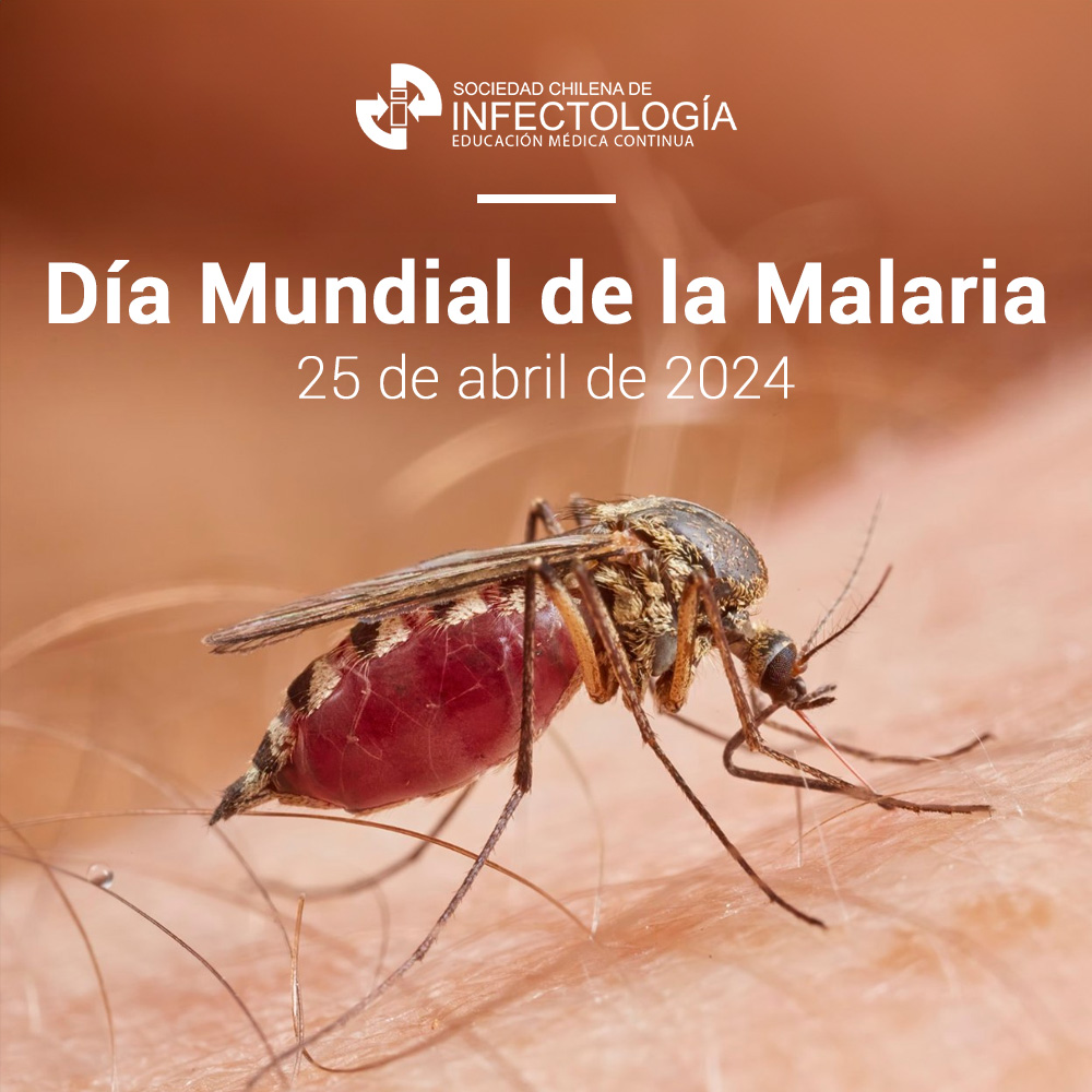 Día Mundial de la Malaria 25 de abril de 2024 #malaria