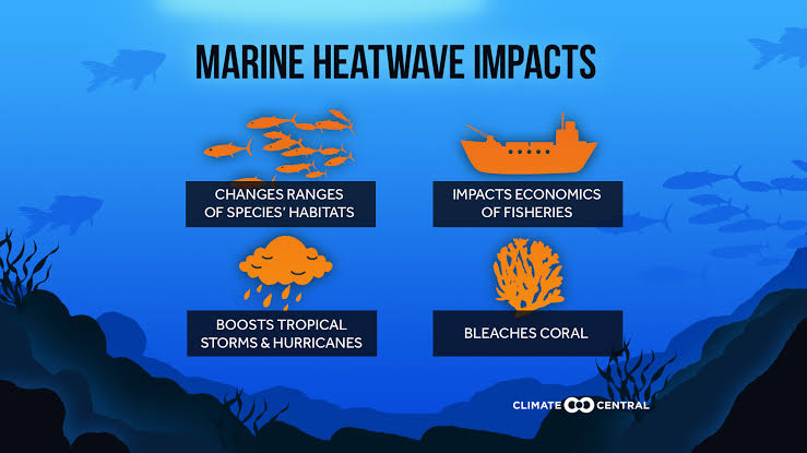 Due to increased greenhouse gas emissions, extended periods of extreme warming in seas and oceans have increased in frequency by 50% in the past 10 years and are becoming more severe. #Climatechange is reaching its extreme! #ClimateEmergency #ClimateCrisis #EarthDay2024