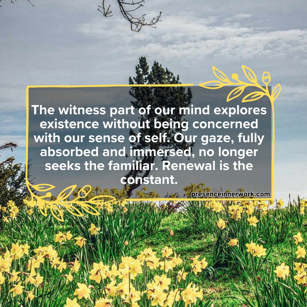 The witness part of our mind explores existence without being concerned with our sense of self. Our gaze, fully absorbed and immersed, no longer seeks the familiar. Renewal is the constant.

#diegosimon #presenceinnerwork #innerwork #innergrowth
#inspirationalposts