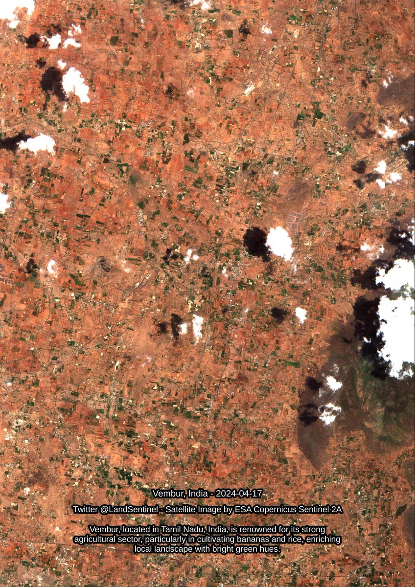 Vembur - India - 2024-04-17 Vembur, located in Tamil Nadu, India, is renowned for its strong agricultural sector, particularly in cultivating bananas and rice, enriching local landscape with bright green hues. #SatelliteImagery #Copernicus #Sentinel2