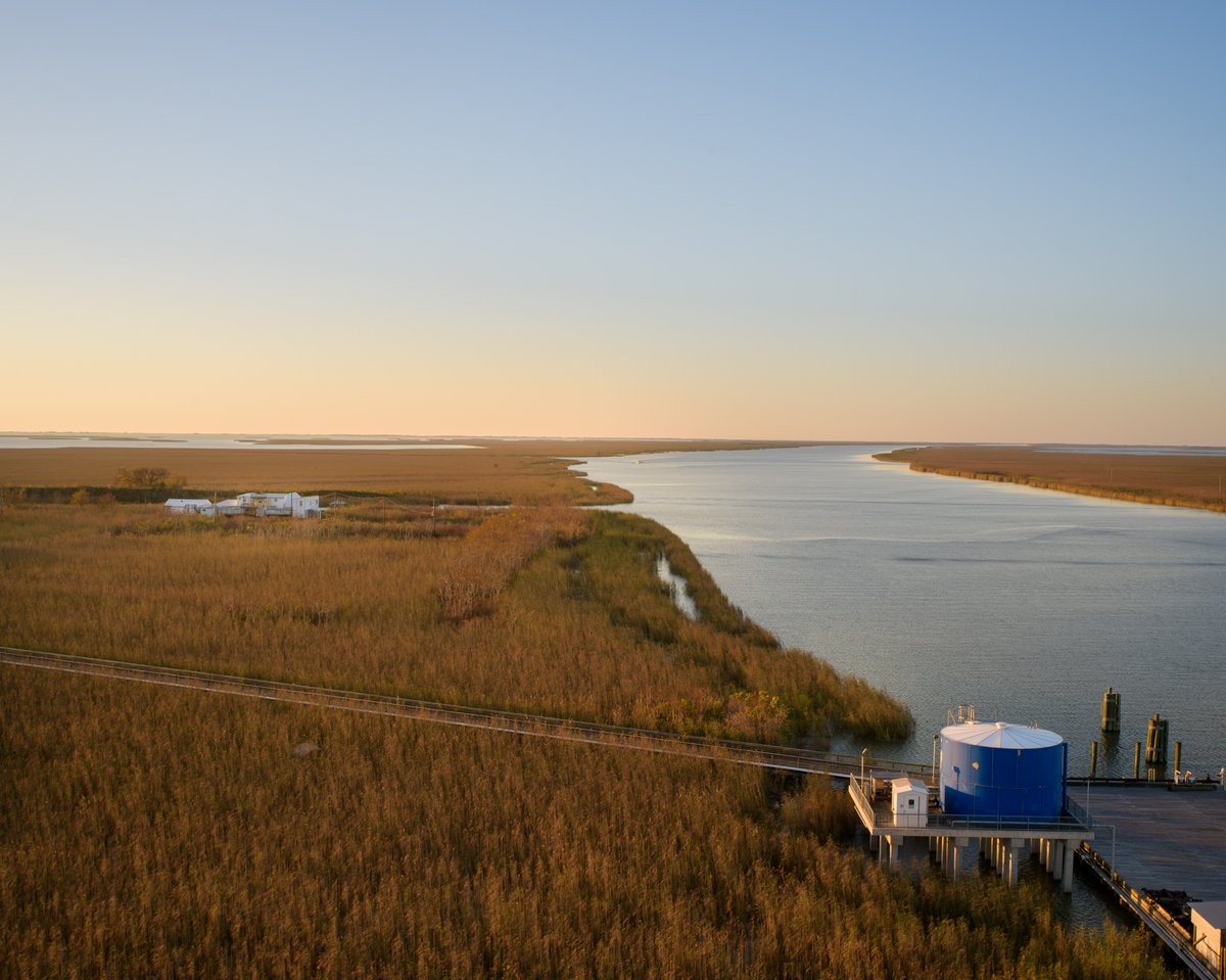 happy earth day from south louisiana