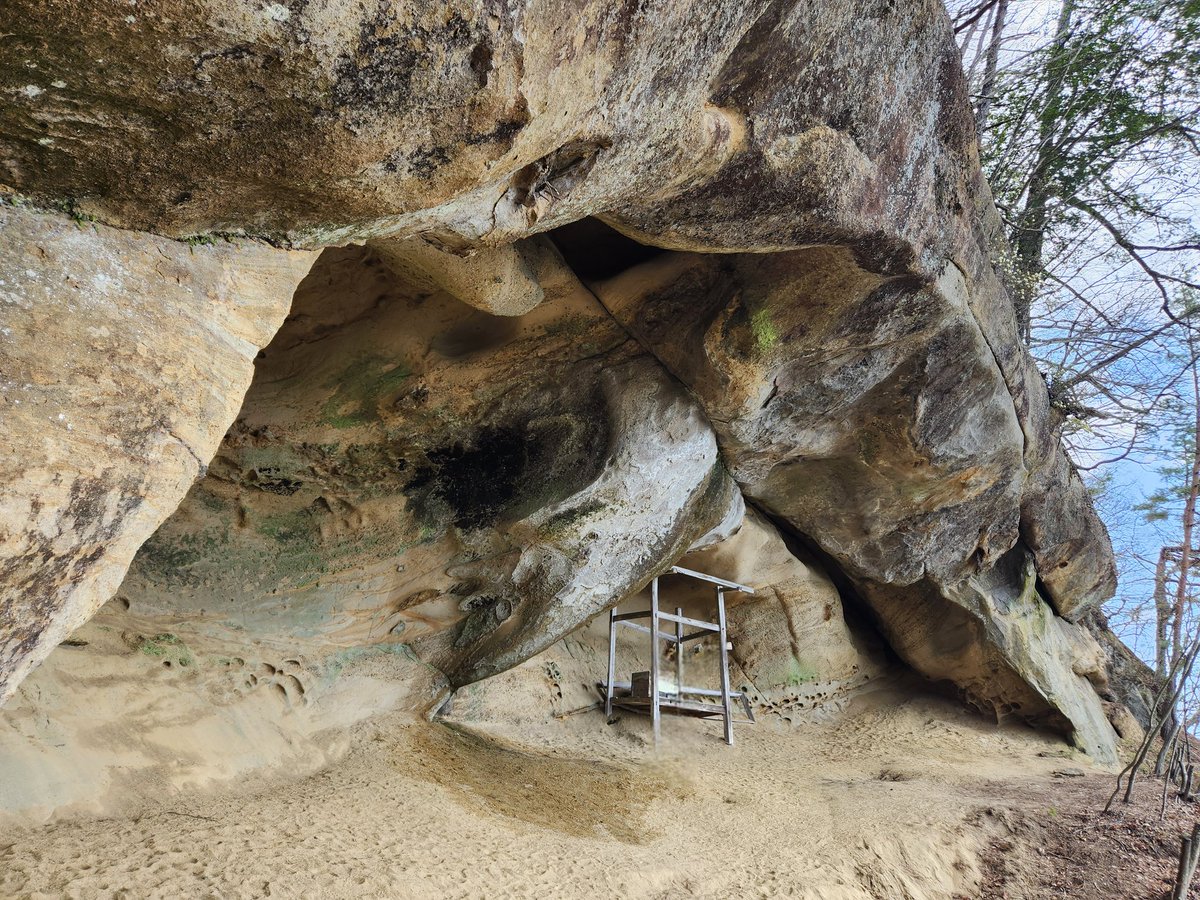 171maru's tweet photo. 大姥山登山⛰️クサリ場9箇所に片側急斜面で一人分の道もあり、かなりヒリヒリしたけど登山は楽しい！滝に立ち寄ったら桜が咲いてとってもいい感じ
#大姥山 #登山 https://t.co/zOLlpwcamR