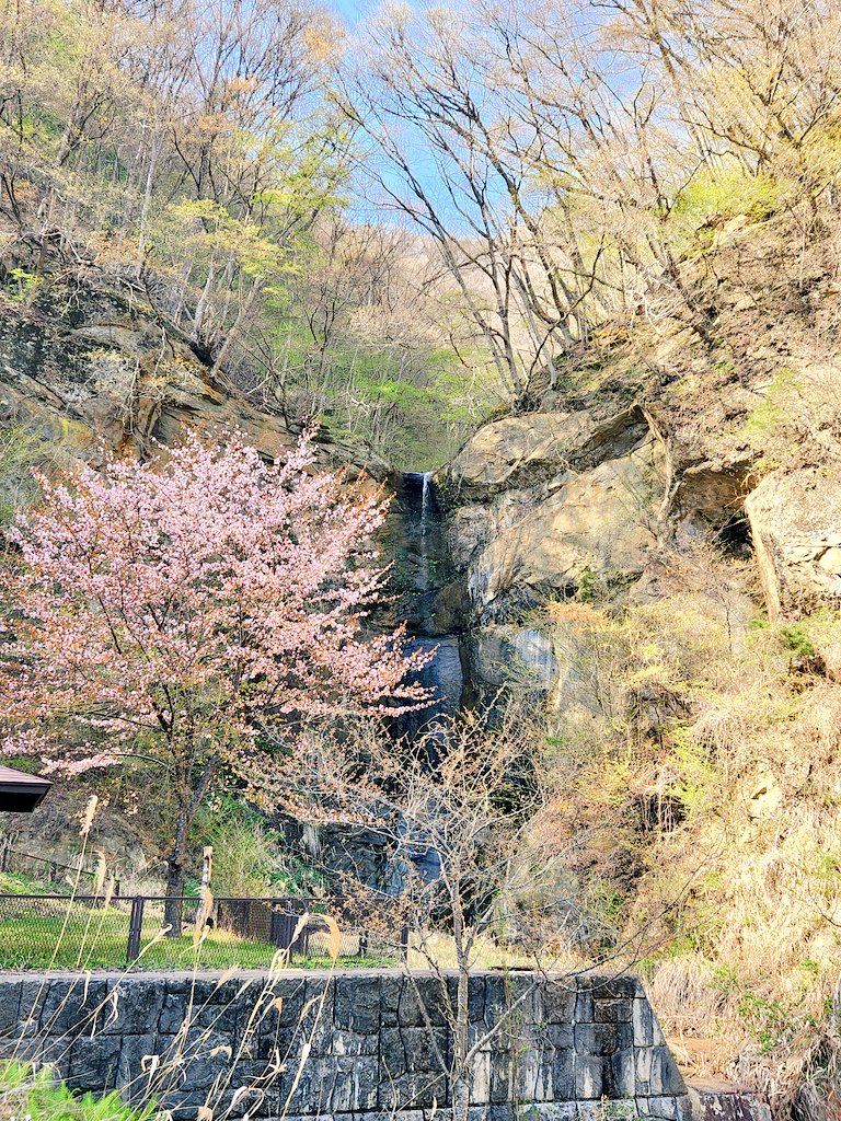 171maru's tweet photo. 大姥山登山⛰️クサリ場9箇所に片側急斜面で一人分の道もあり、かなりヒリヒリしたけど登山は楽しい！滝に立ち寄ったら桜が咲いてとってもいい感じ
#大姥山 #登山 https://t.co/zOLlpwcamR