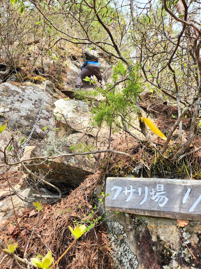 171maru's tweet photo. 大姥山登山⛰️クサリ場9箇所に片側急斜面で一人分の道もあり、かなりヒリヒリしたけど登山は楽しい！滝に立ち寄ったら桜が咲いてとってもいい感じ
#大姥山 #登山 https://t.co/zOLlpwcamR