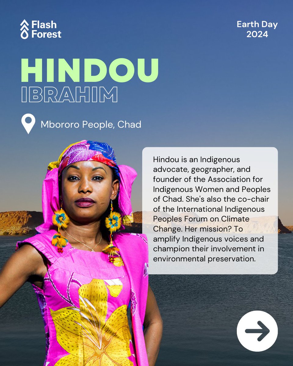 Flash Forest tweet media