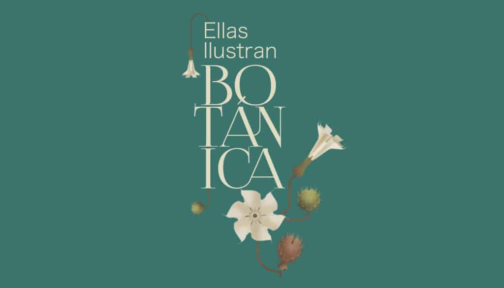 Ocho Damas tweet media