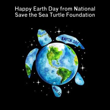 Every day is Earth Day at National Save the Sea Turtle Foundation! You can help save endangered #seaturtles ➡️ savetheseaturtle.org 

#EarthDay #April22 #education #awareness #protection #savetheseaturtles #NSTSTF #seaturtlelove #extinctionisforever