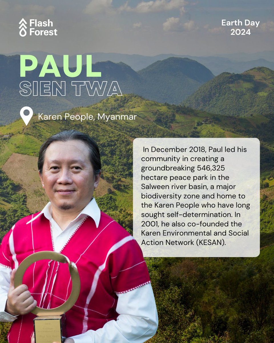 Flash Forest tweet media