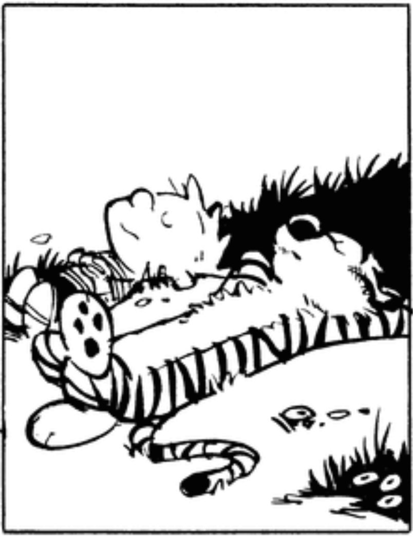 #CalvinAndHobbes