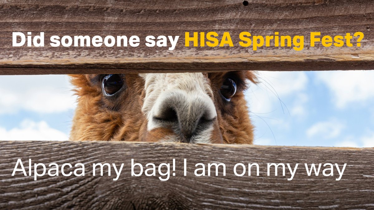 🌸 HISA Spring Fest 🌸Want to pat an alpaca or ride a mechanical rodeo bull during a break from exam prep? All that and more will be on offer in the atrium tomorrow (Tuesday, 23 April) from 11am to 3pm. #InvernessUHI #ThinkUHI #springfest #studentassociation