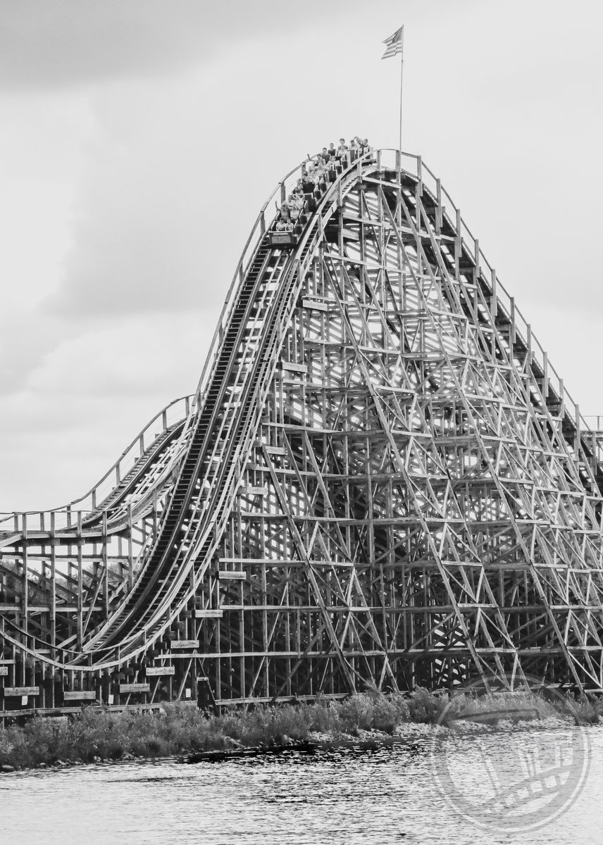 Here's a B&W #WolverineWildcat at @miadventure for another #MonochromeMonday!