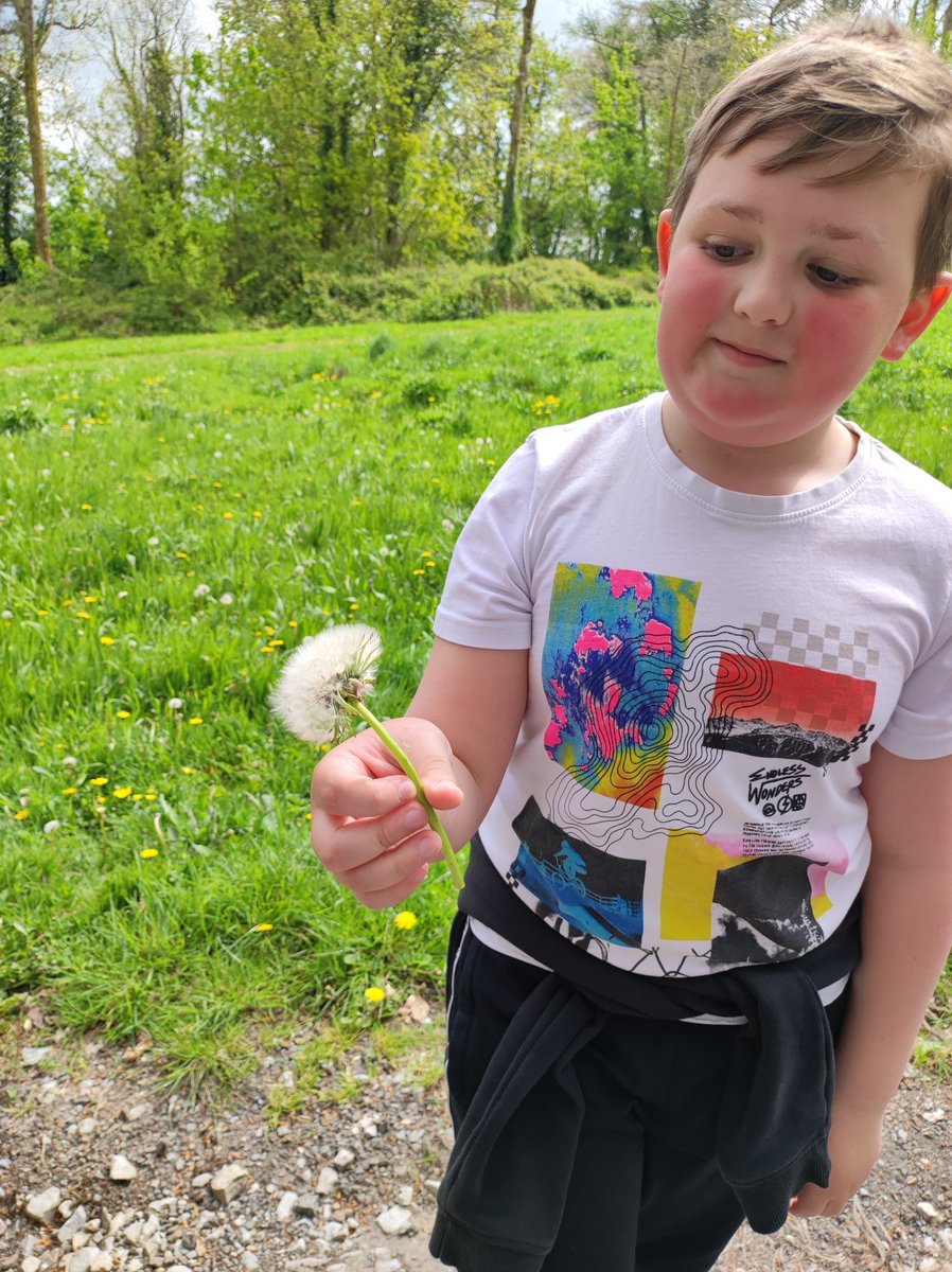 MiniExplorersPD's tweet image. A busy day at Lawrenny with our fantastic hosts @cymbrogifutures ♻️ @CelticDeep 🦈🌊celebrating the #MonthOfTheMilitaryChild
@PDCSPrimary we enjoyed a jam packed day, full of activities & fun #forcesfamily 💜 #enterprisingandcreative #healthandwellbeing