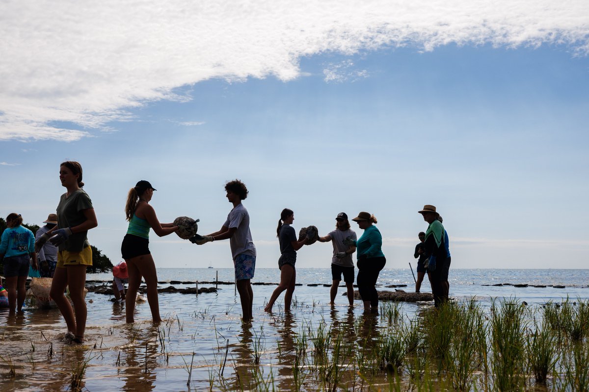 HAPPY EARTH WEEK, ST. PETE 🌎 To celebrate #EarthWeek, residents + visitors are invited to participate in a series of events to inspire action toward a greener + more sustainable future. TODAY: Earth Day Spring Cleaning Swap at Williams Park 3PM- 7PM 👉stpete.org/news_detail_T3…