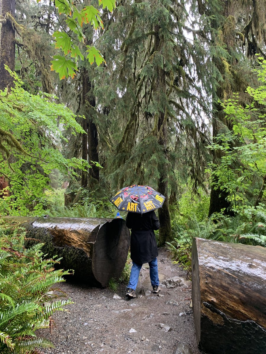 Let’s Walk In Forests This Week With #Top4Forests Pics!😀🌲
Join the #Top4Theme & Share Your Memories!👍
Tag @obligatraveler @intheolivegrov1 @OdetteDunn @pipeaway_travel 
My Forest Walks -
Canopy of Colors,
Fresh Blanket of Snow,
Where Wildlife Roams,
Rain Makes It All Grow.