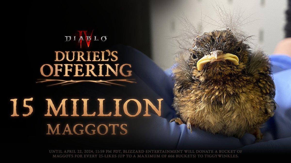 Diablo's tweet photo. 15 Million Maggots.

That is how many have been offered to the flock at @TiggywinklesUK.

Yet their bird maws scream for more... https://t.co/WqnZGBeI8r