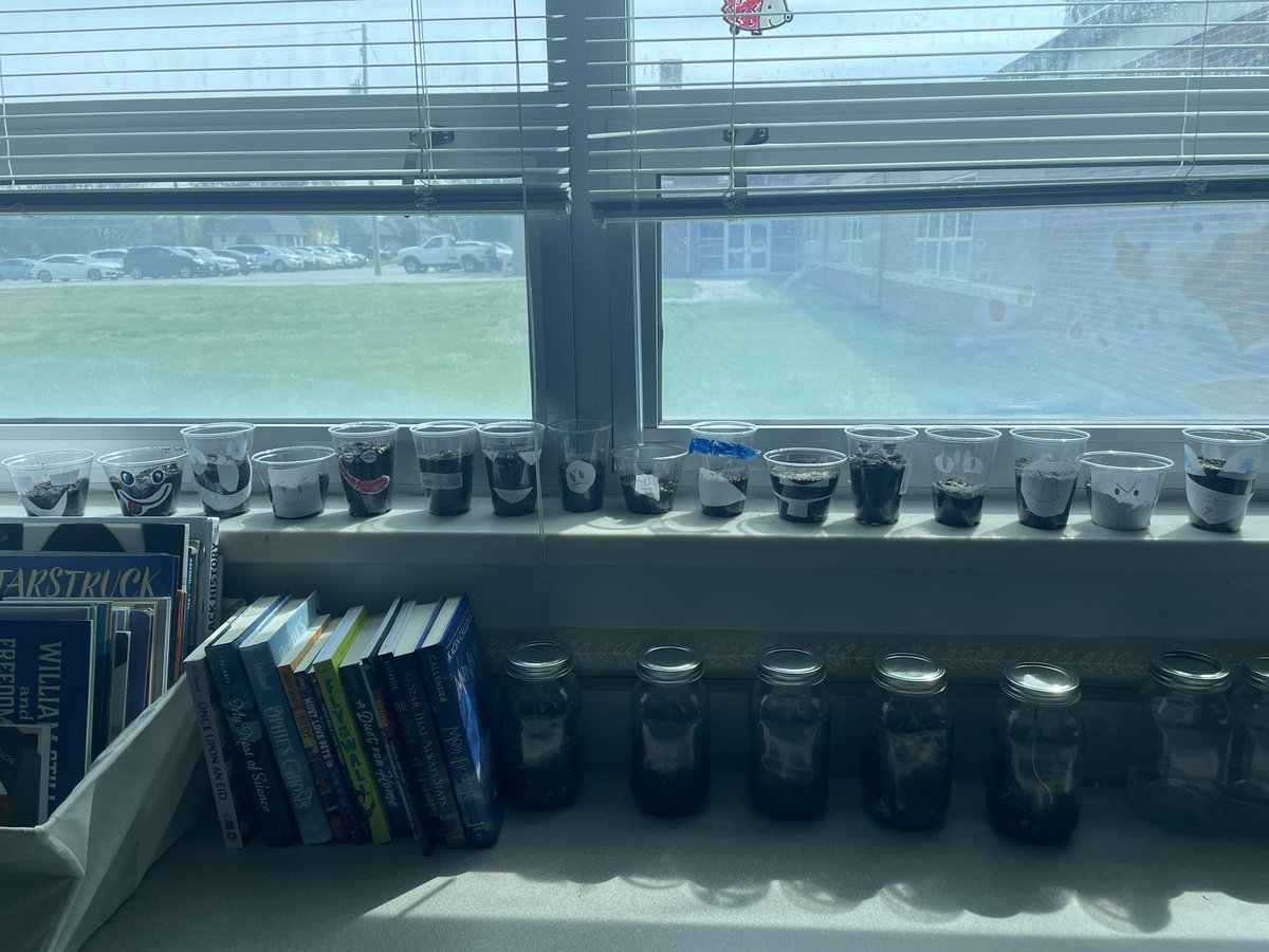 msemilyteaches's tweet photo. Happy Earth Day!! We had our plant party, and can’t wait for some “hair” to start growing from our new friends! 🌿🌸🌱🌷🪴 https://t.co/TCD3rzeICY