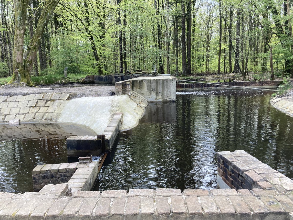 JosSchouten's tweet photo. Eerste dag van mn interim job. Liefde op het eerste gezicht: #waterloopbos https://t.co/OovztuR7yn