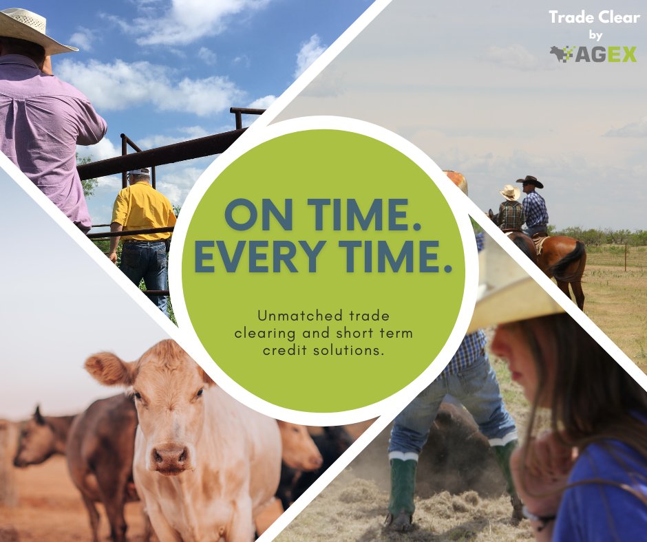 agex_inc's tweet photo. We pay sellers ON TIME. EVERY TIME.

Partner with the industry's Top Strategic Lenders! https://t.co/VjLNpWiVri