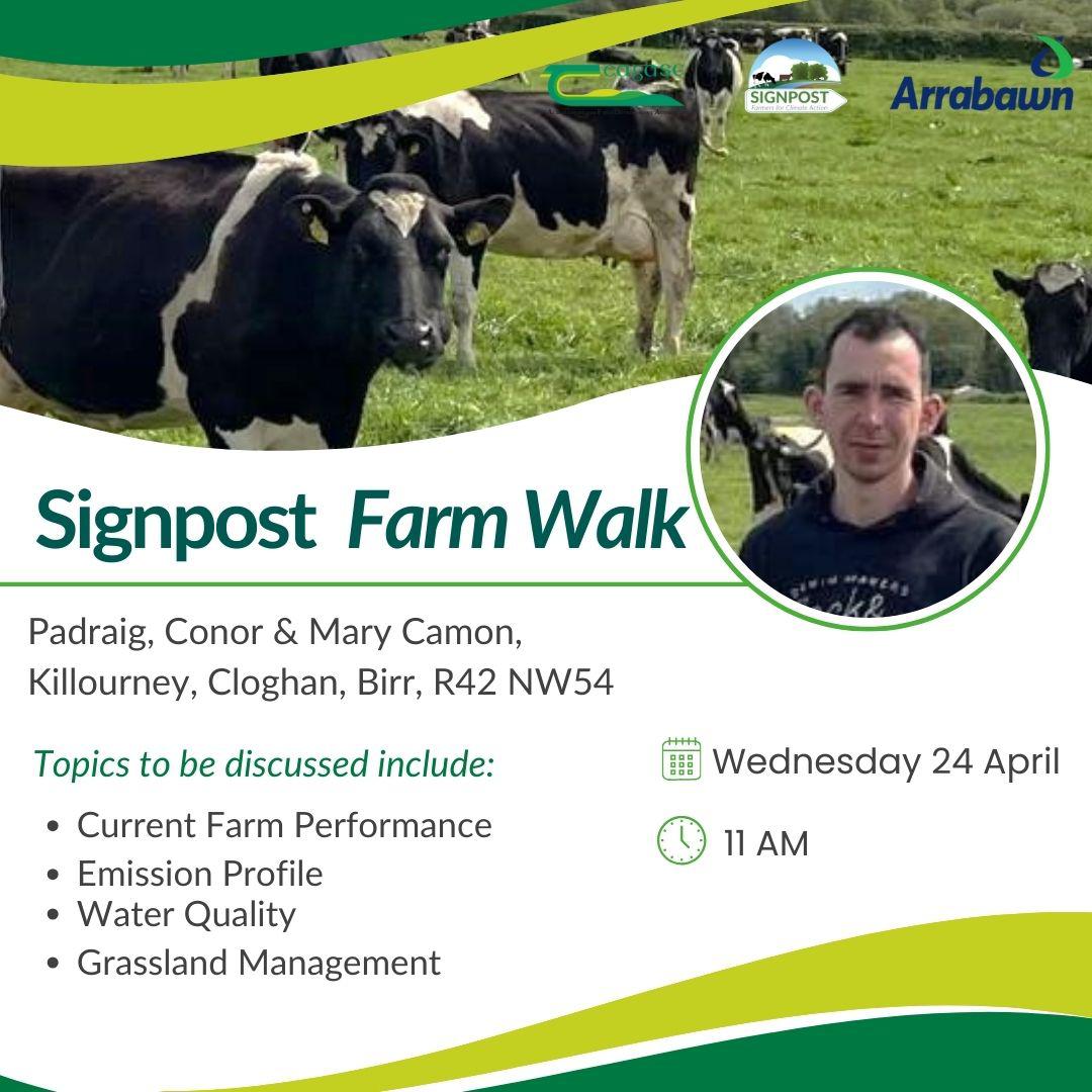 ArrabawnMilk4Profit tweet media