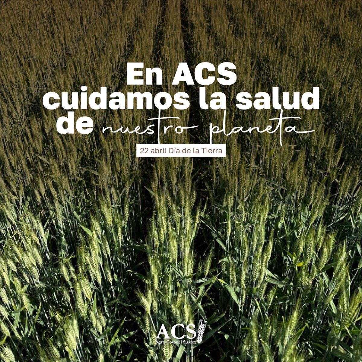 La tierra es parte fundamental del ecosistema agropecuario, siendo su mayor recurso. 
Acciones responsables guí­an el trabajo diario de todos los que hacemos ACS. 
Cuidemos nuestro planeta, cuidemos la tierra en donde habitamos.