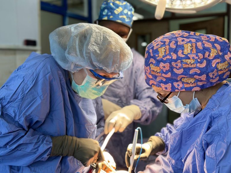 Anna Spivak tweet media